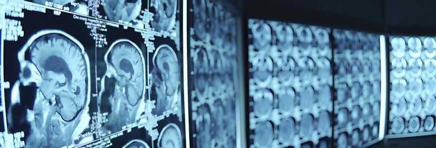 Attachment Imagen-Diagnostico01.jpg